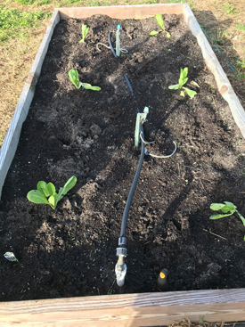 a raised garden bed